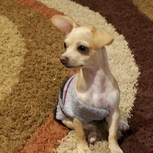 Meet your Posher, Christine